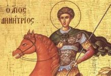 ДАНАС МИТРОВДАН